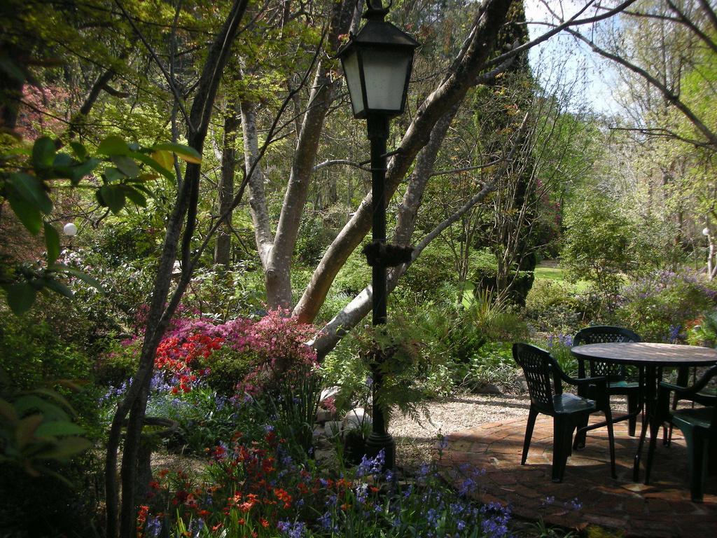 Merrimeet Cottages 브라이트 객실 사진