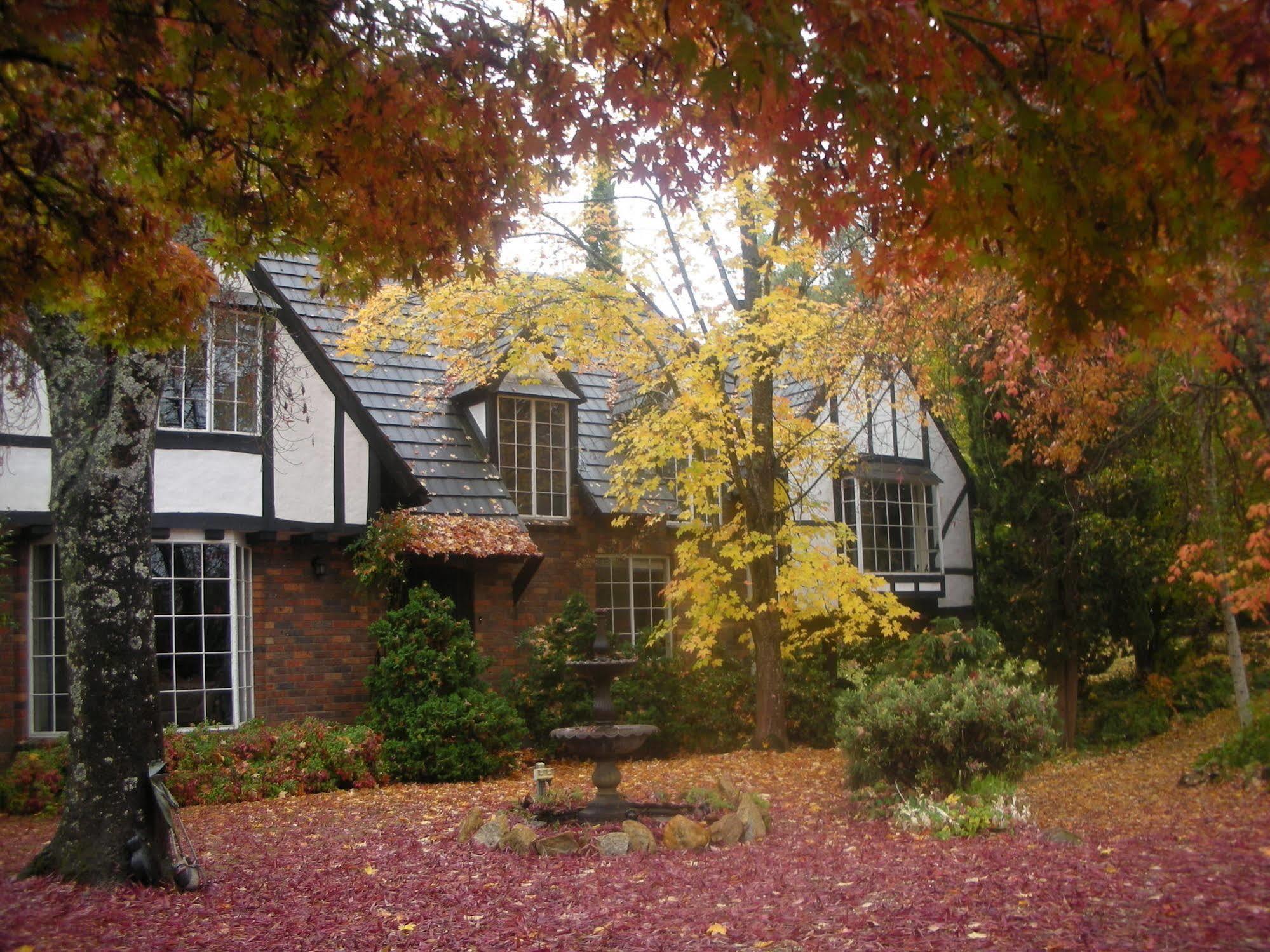Merrimeet Cottages 브라이트 외부 사진